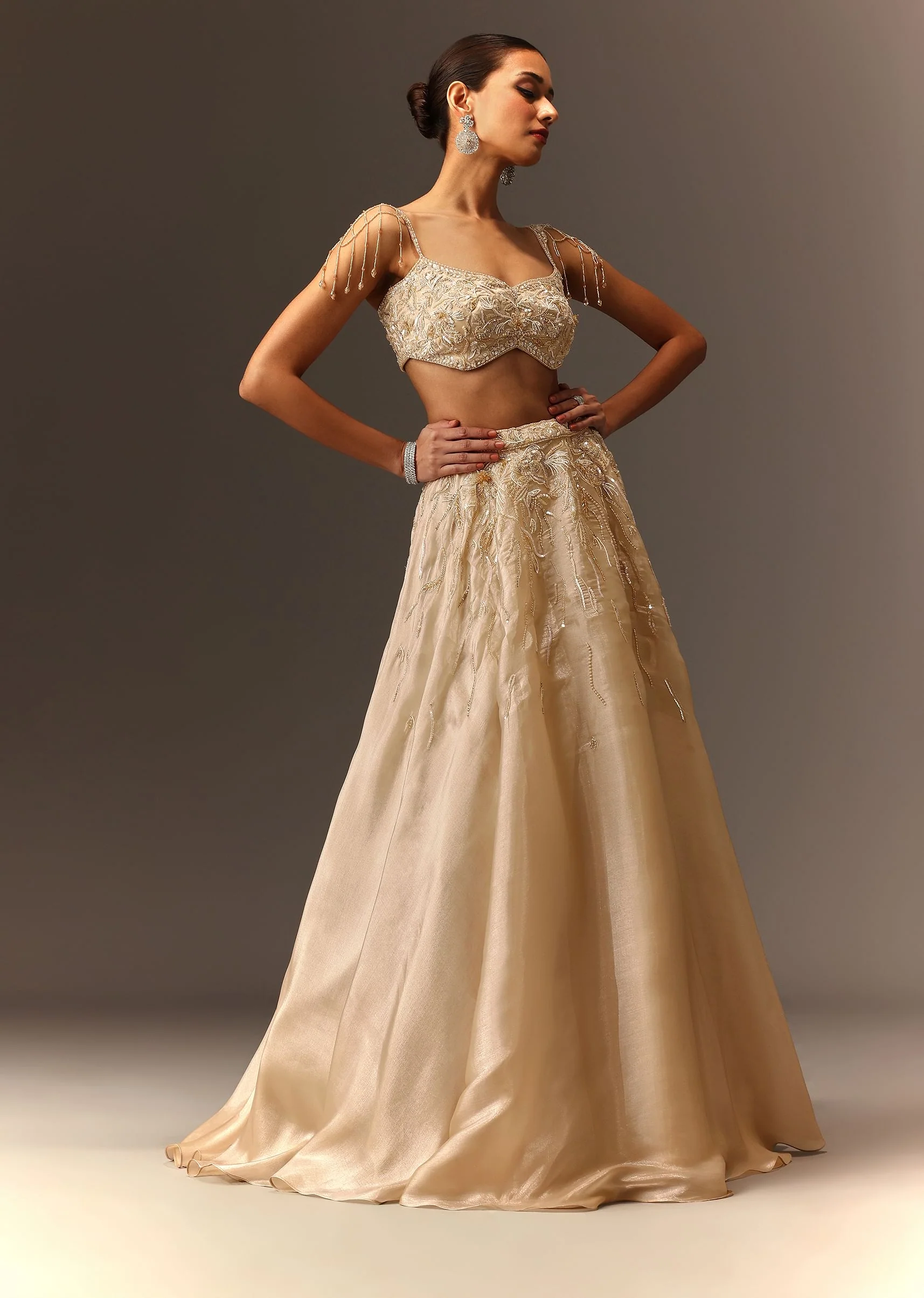 Beige Embroidered Blouse With Skirt And Choker Dupatta - Image 7