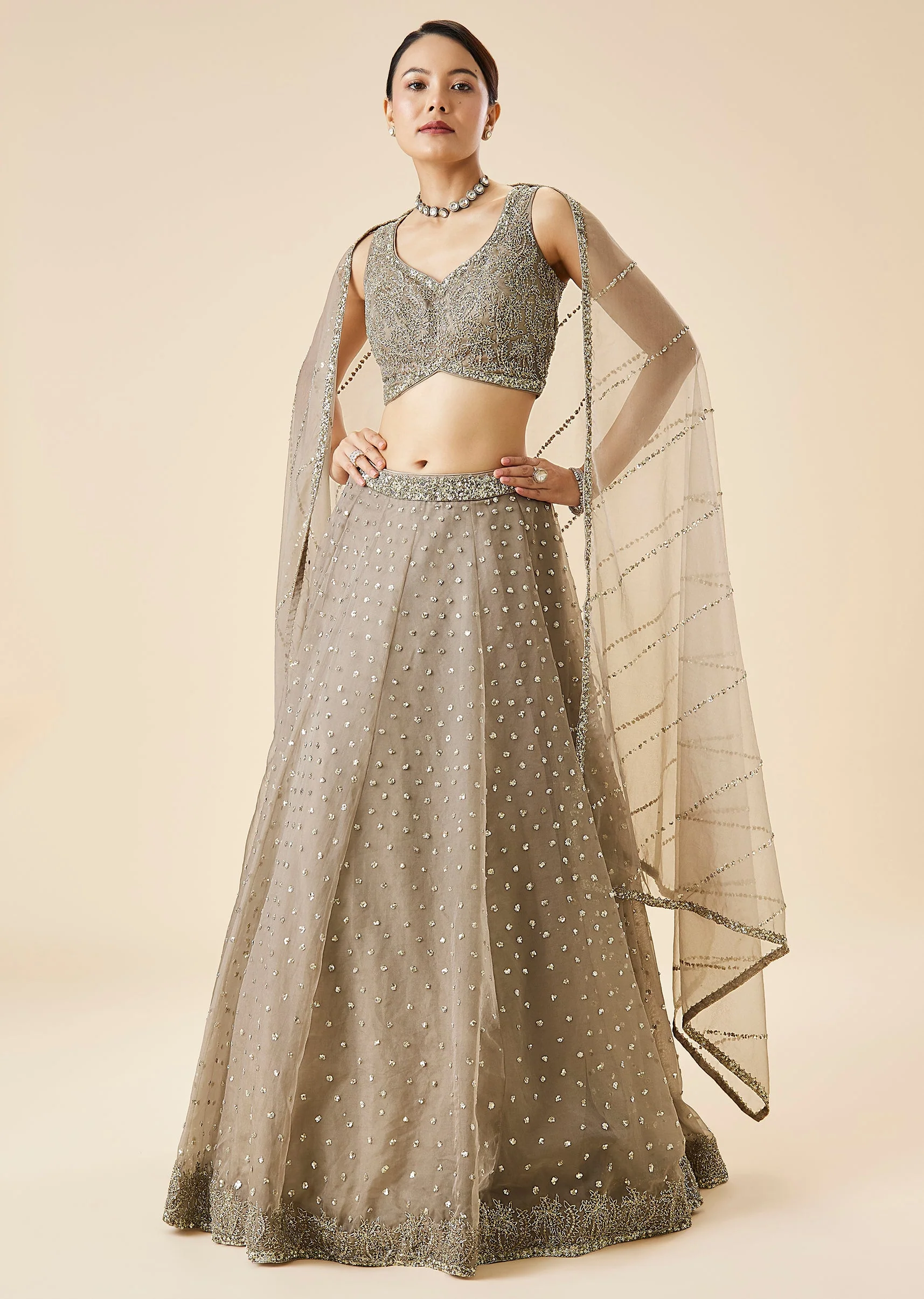 Beige Embroidered Net Lehenga Set With Dupatta - Image 4