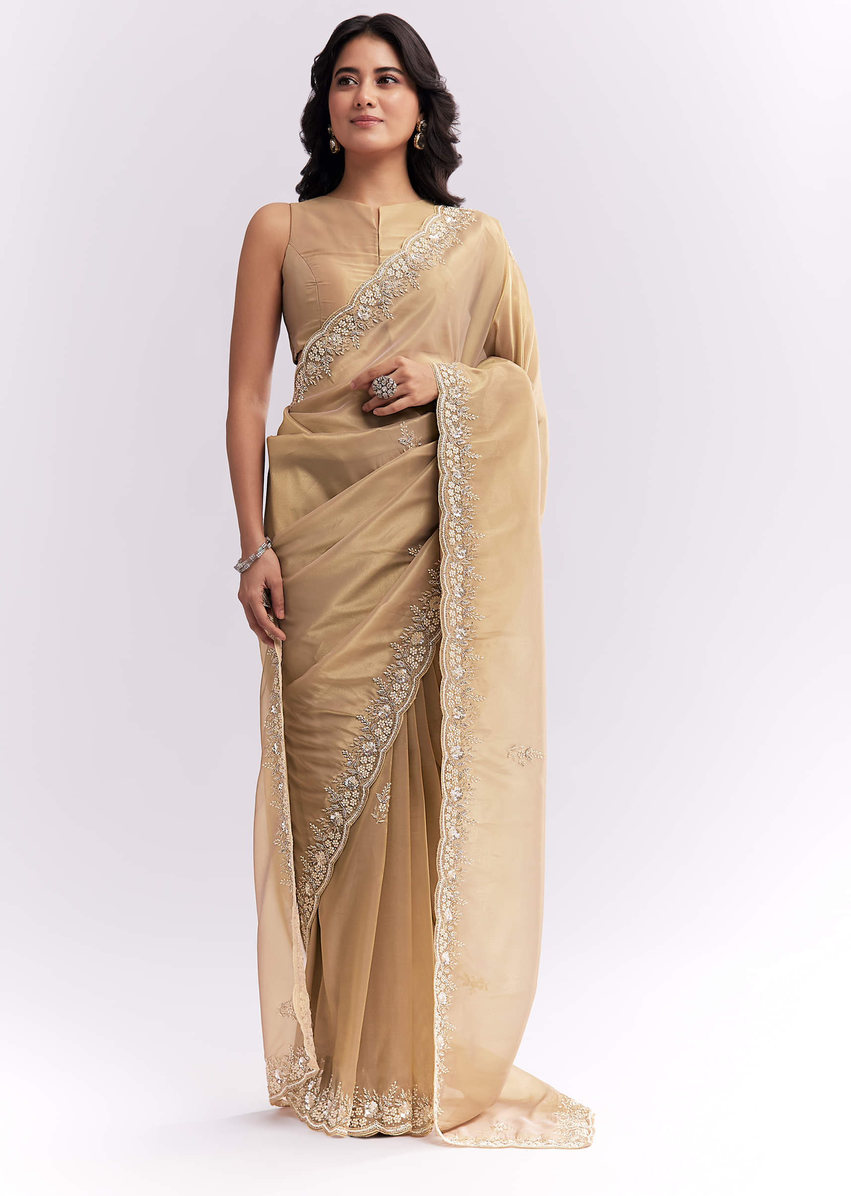 Beige Tissue Silk Saree With Heavy Hand Embroidery