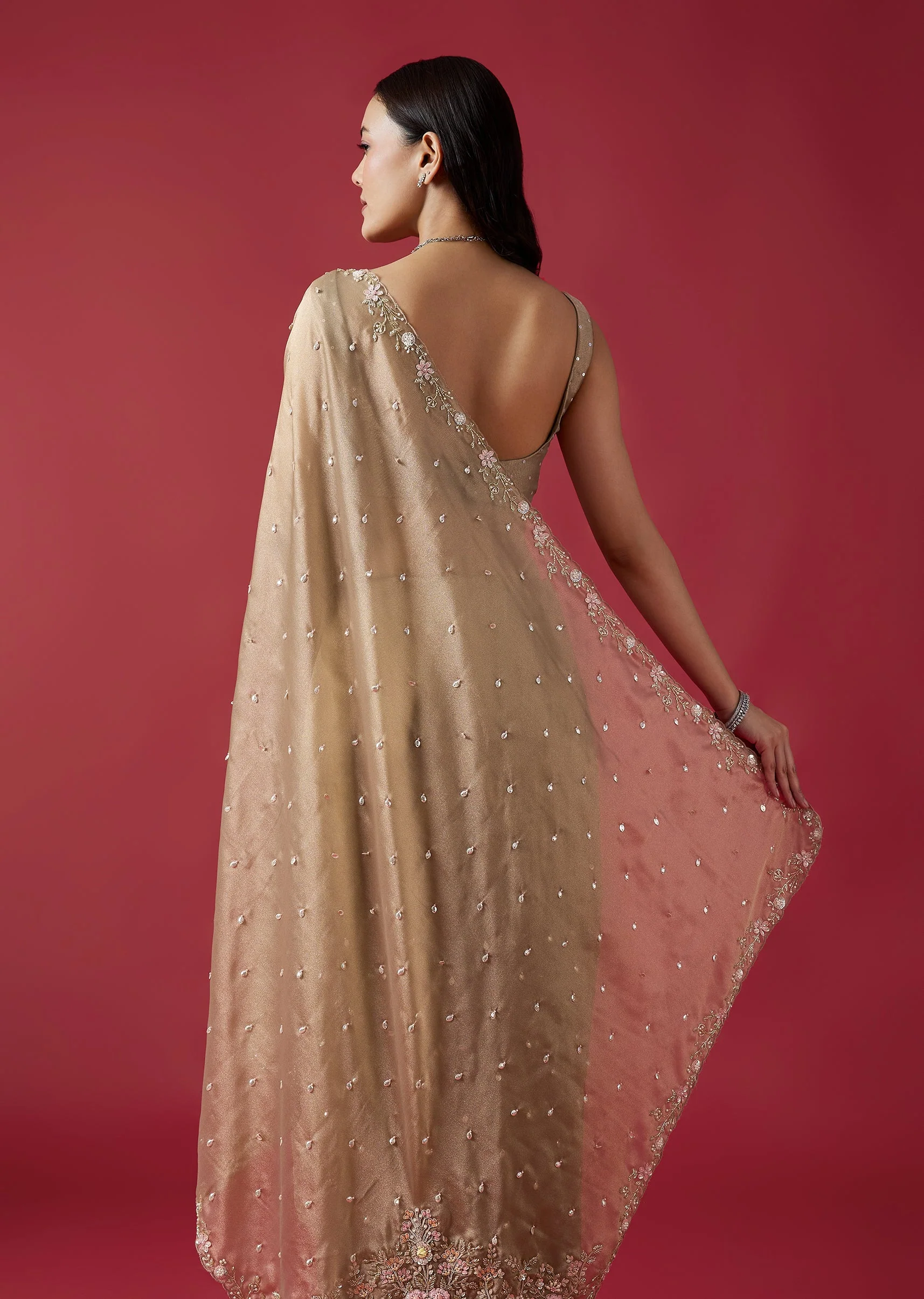 Dusky Beige Embroidered Tissue Saree With Cutwork Border - Image 6