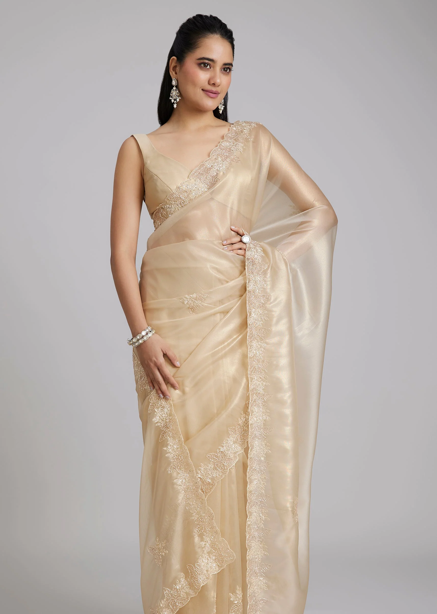 Gold Tissue Saree With Floral Cutwork Border - Image 5