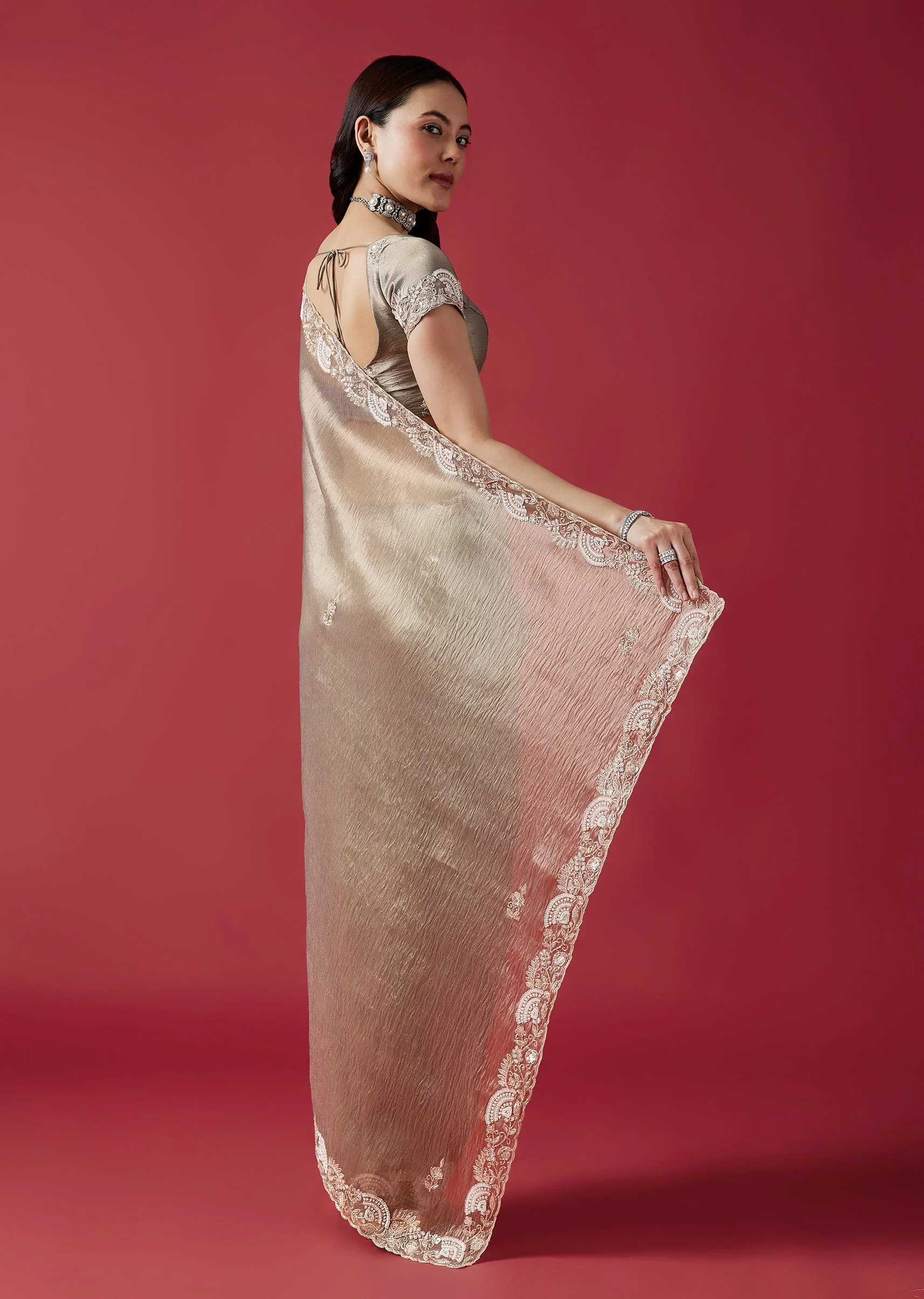 Grey Embroidered Crush Tissue Saree With Zardosi Detailing - Image 4