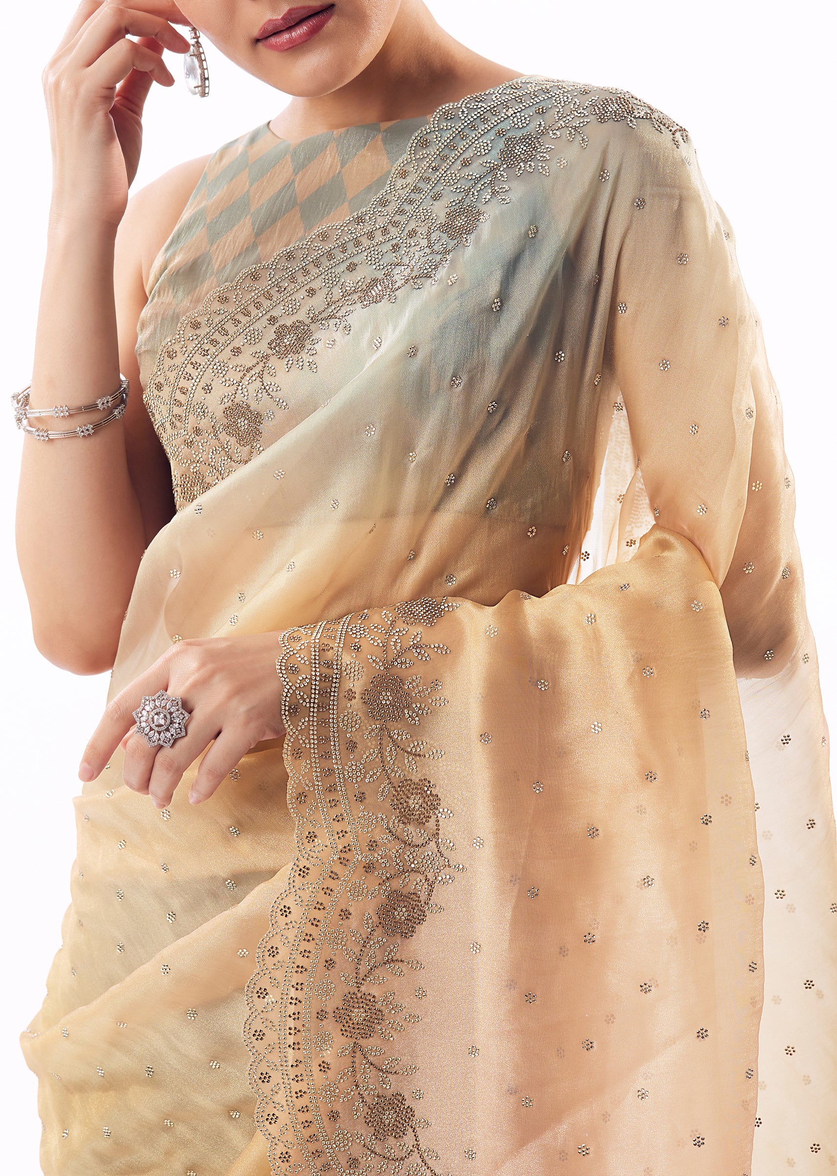 Multi Shade Tissue Saree With Scallop Border And Stone Embellished Floral Detailing - Image 2