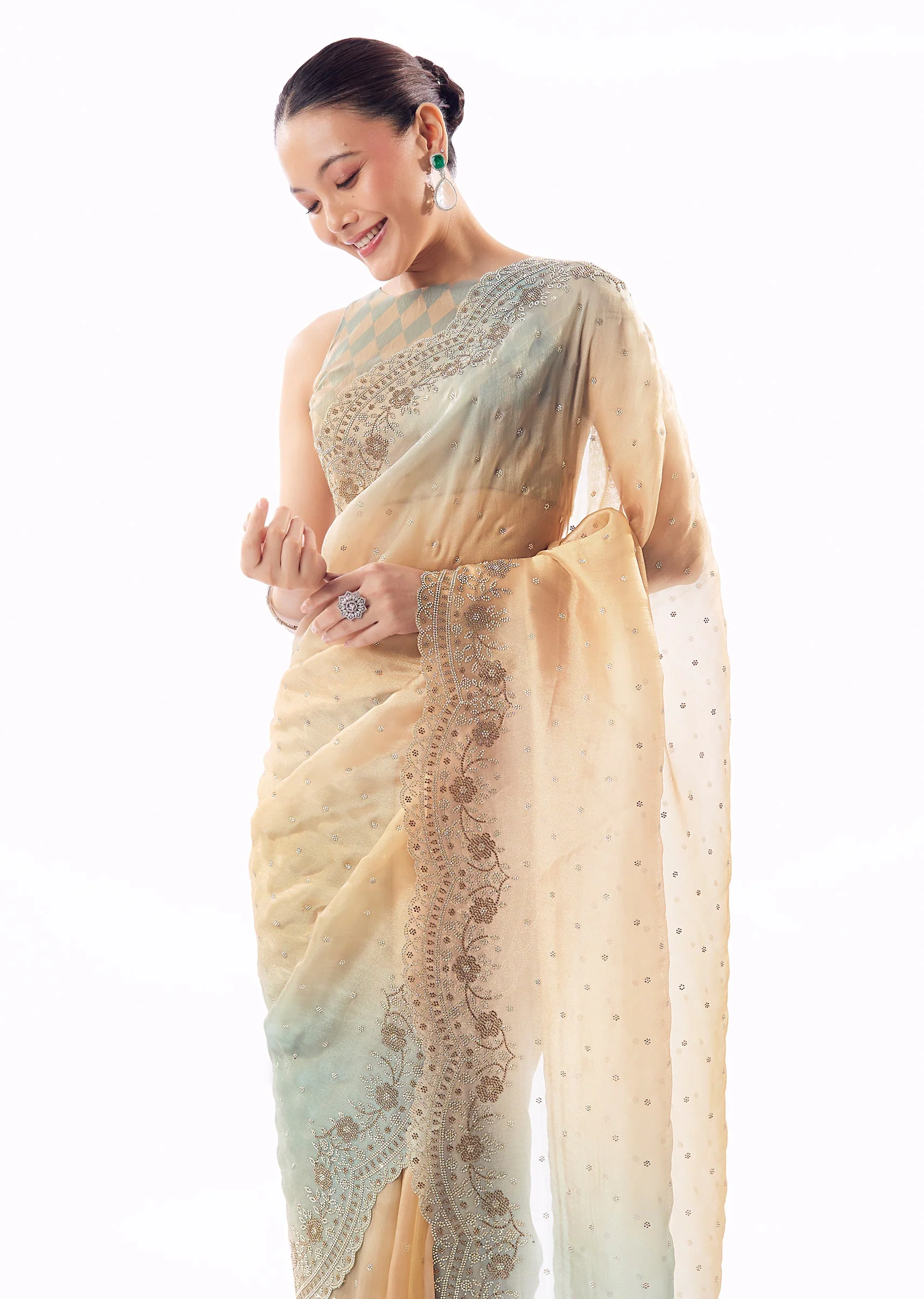 Multi Shade Tissue Saree With Scallop Border And Stone Embellished Floral Detailing - Image 5