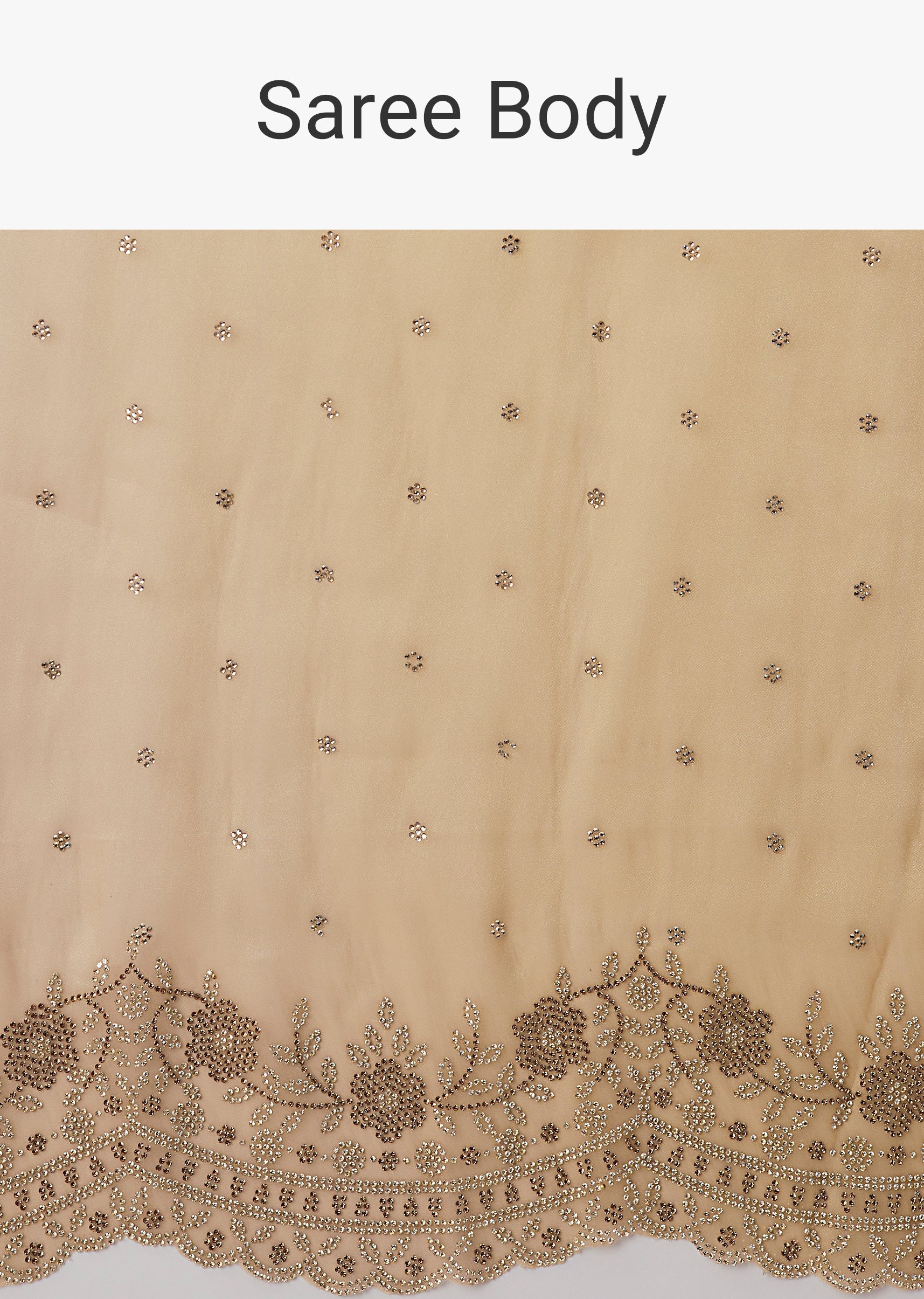 Multi Shade Tissue Saree With Scallop Border And Stone Embellished Floral Detailing - Image 9