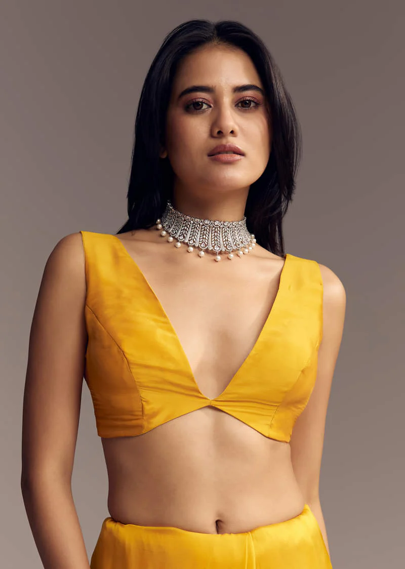 Mustard Yellow Organza Saree With Scallop Border And Stone Work - Image 7