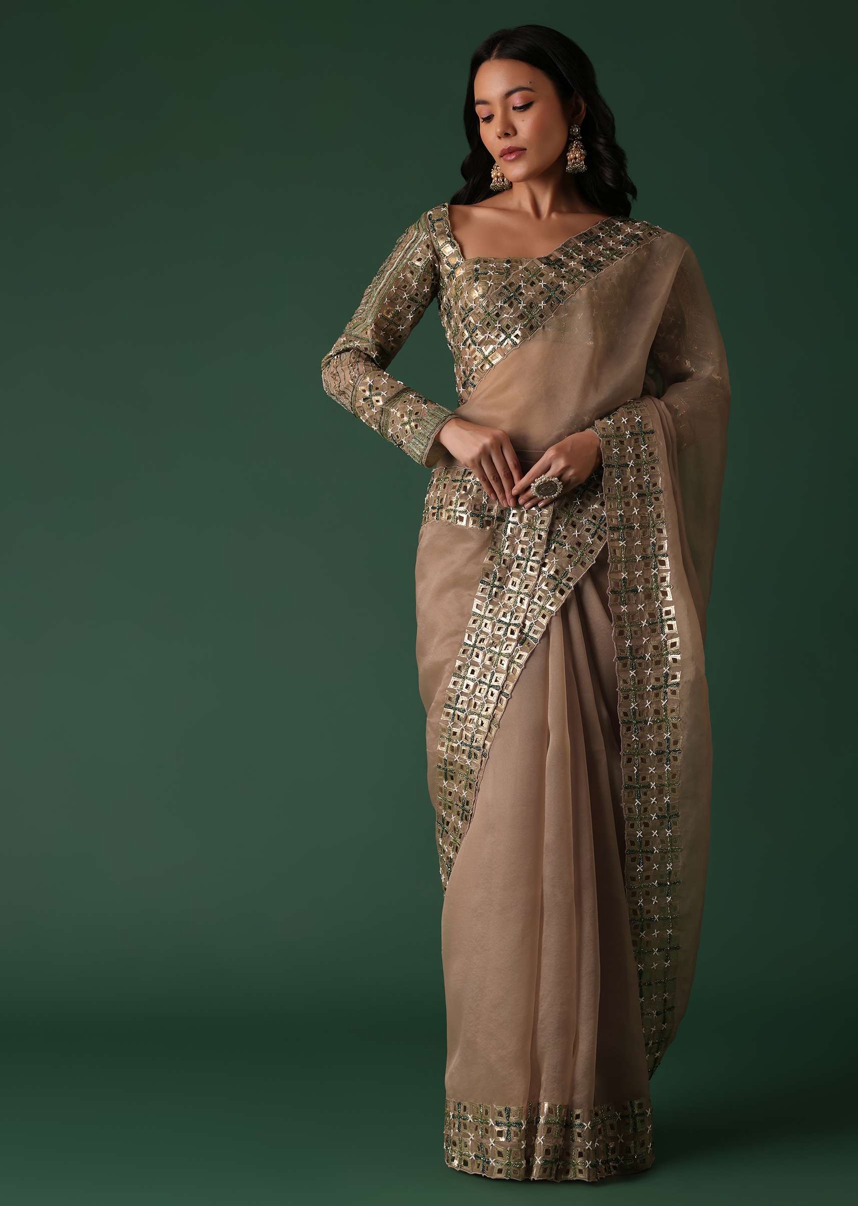 Onion Pink Foil Printed Saree And Blouse In Organza - Image 3
