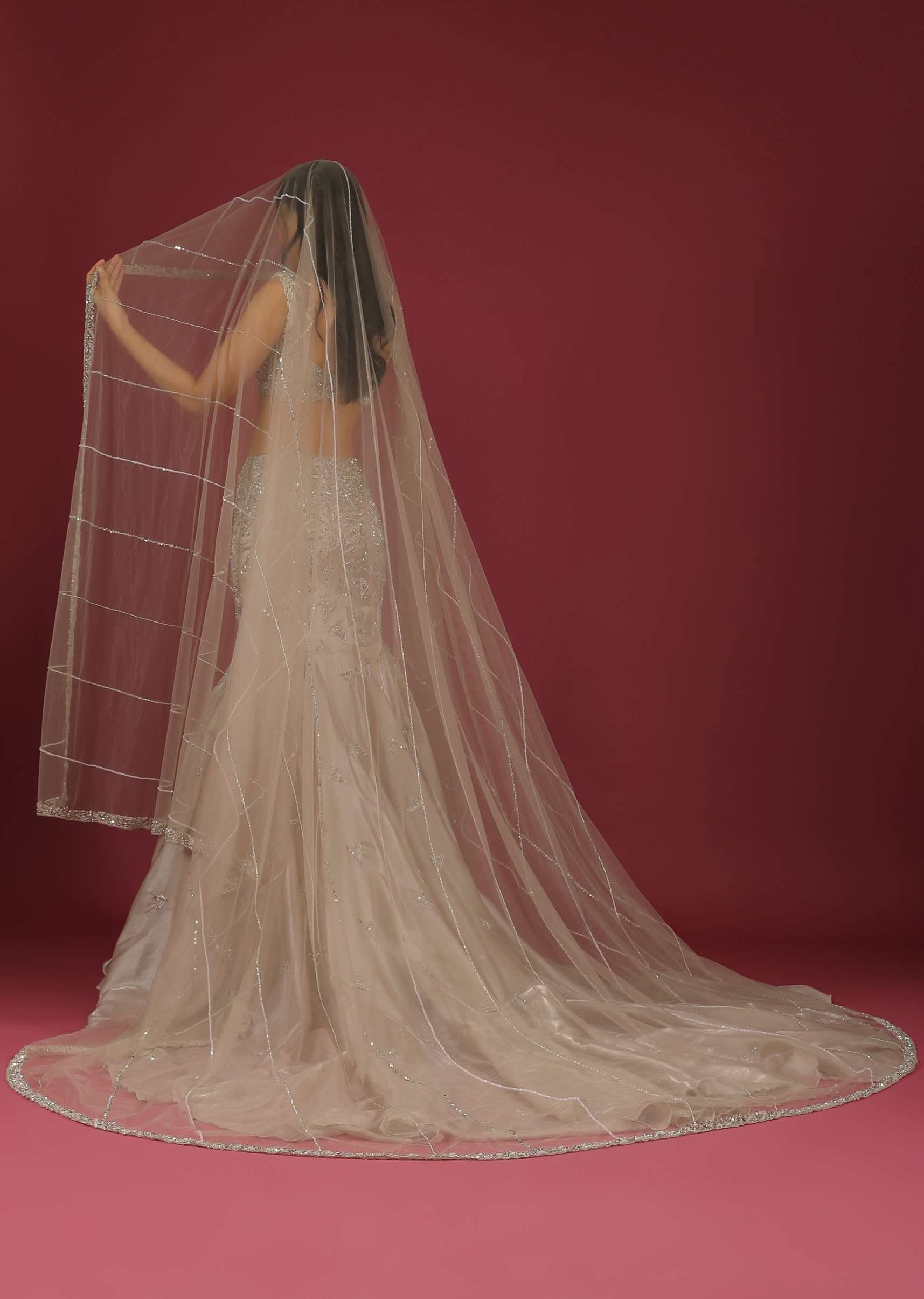 Organza Oyster Mermaid Lehenga With A Stone Motif Veil And Crop Top - Image 6