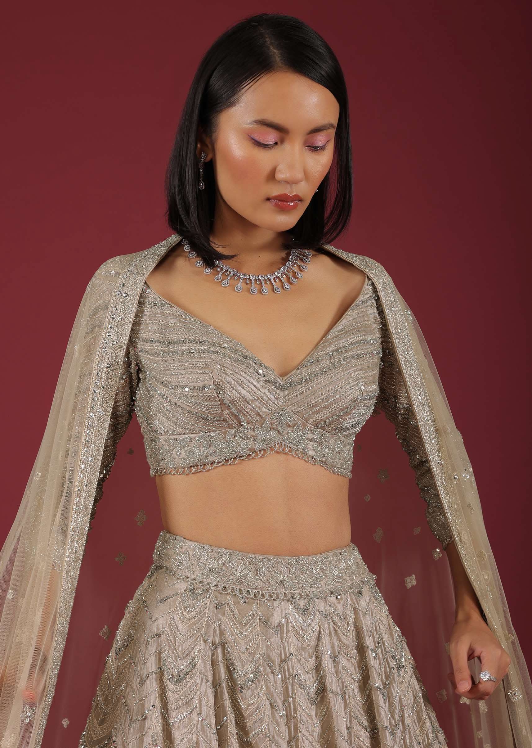 Oyster Organza Lehenga With Cut Dana Embroidery, Crop Top Comes In 3/4Th Sleeves With A Deep V Neckline - Image 3